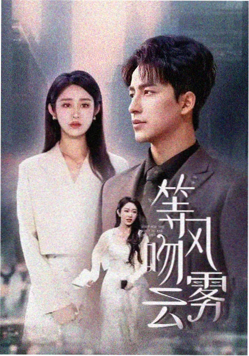 秘密森林 韩剧在线观看免费高清